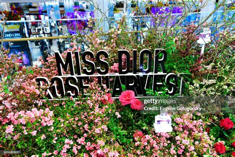 macy's dior flower show|macy's flower show miss dior.